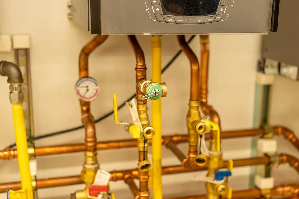 Licensed technician providing Emergency Plumbing for a homeowner in Hector